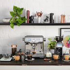 Breville the Dynamic Duo™ (BEP920)